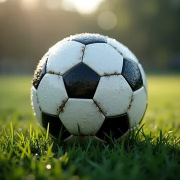 联系奇异果体育